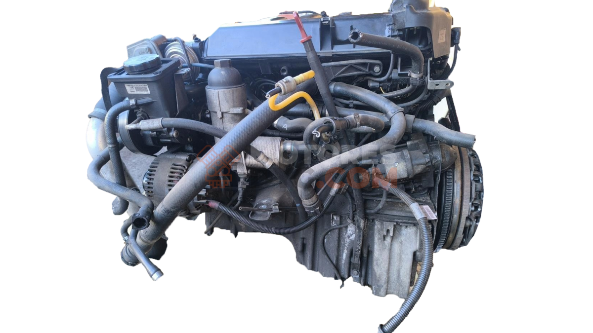 Motor m57 d30 Bmw Serie 5 Touring (E61) 525i (218 cv)