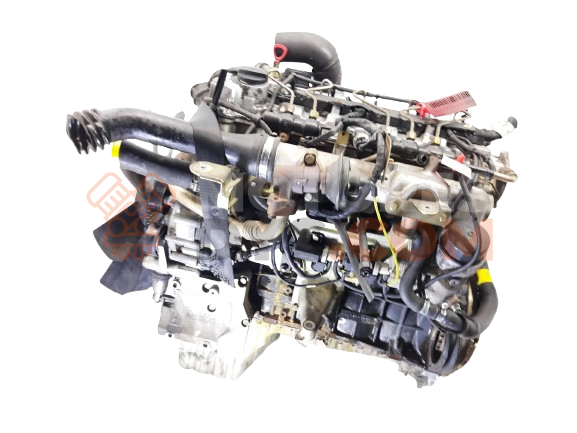 Motor M665.925 Ssangyong Rexton II RX 270 Xdi Automatico (163 cv)