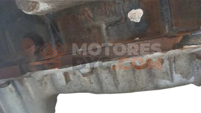 Motor M665.925 Ssangyong Rexton II RX 270 Xdi Automatico (163 cv)