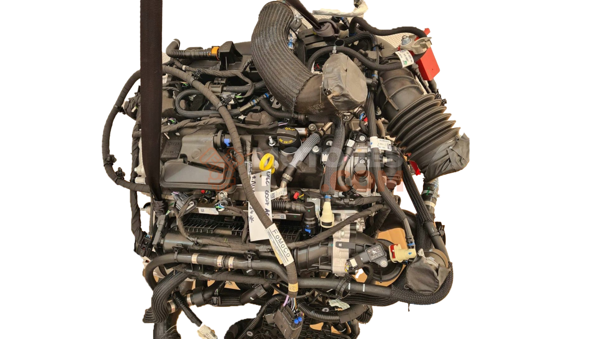 Motor m9me Ford Kuga II (Versión 2016) 1.5 TDCI (120 cv)