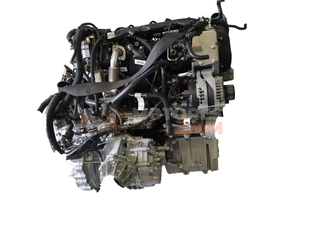 Motor m9r610 Renault Scenic III 2.0 DCI (JZ0L) (160 CV)