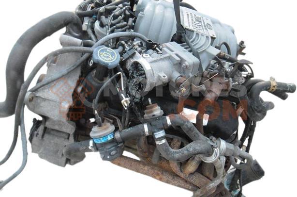 Motor Modular / 99WSFI Ford Mustang IV 4.6 V8 GT (215 cv)