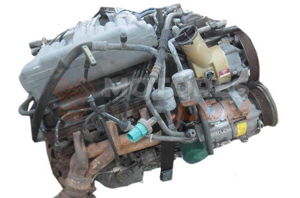 Motor Modular / 99WSFI Ford Mustang IV 4.6 V8 GT (215 cv)
