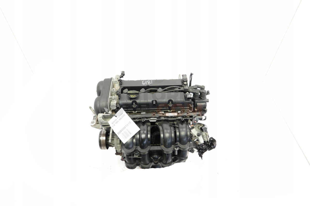 Motor MUDA Ford FOCUS III 1.6 Flexifuel (120 CV)