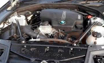 Motor N20B20 Bmw Serie 4 Coupe (F32) 428i (245 cv)