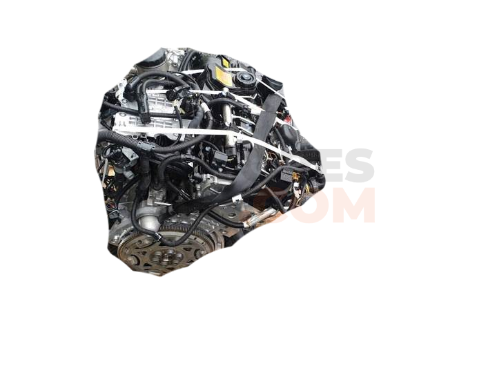 Motor N20B20A Bmw X4 (G02,F98) xDrive 20d (163cv)