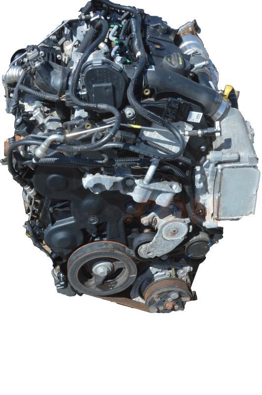 Motor NGDB Ford FOCUS III 1.5 TDCi ECOnetic (105 CV)