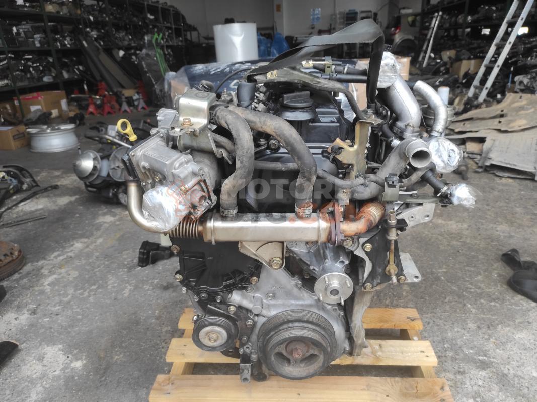 Motor YD25 Nissan Navara III (D40) 2.5 dCi Double Cab (174 cv) 4WD