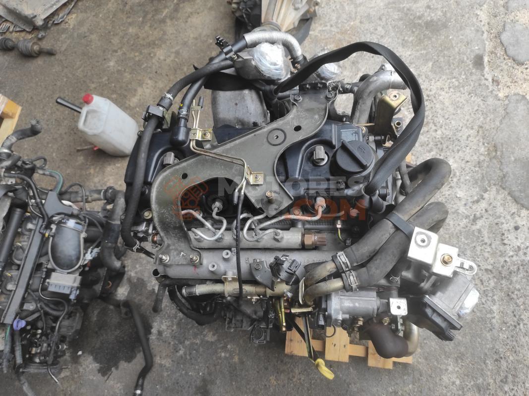 Motor YD25 Nissan Navara III (D40) 2.5 dCi Double Cab (174 cv) 4WD