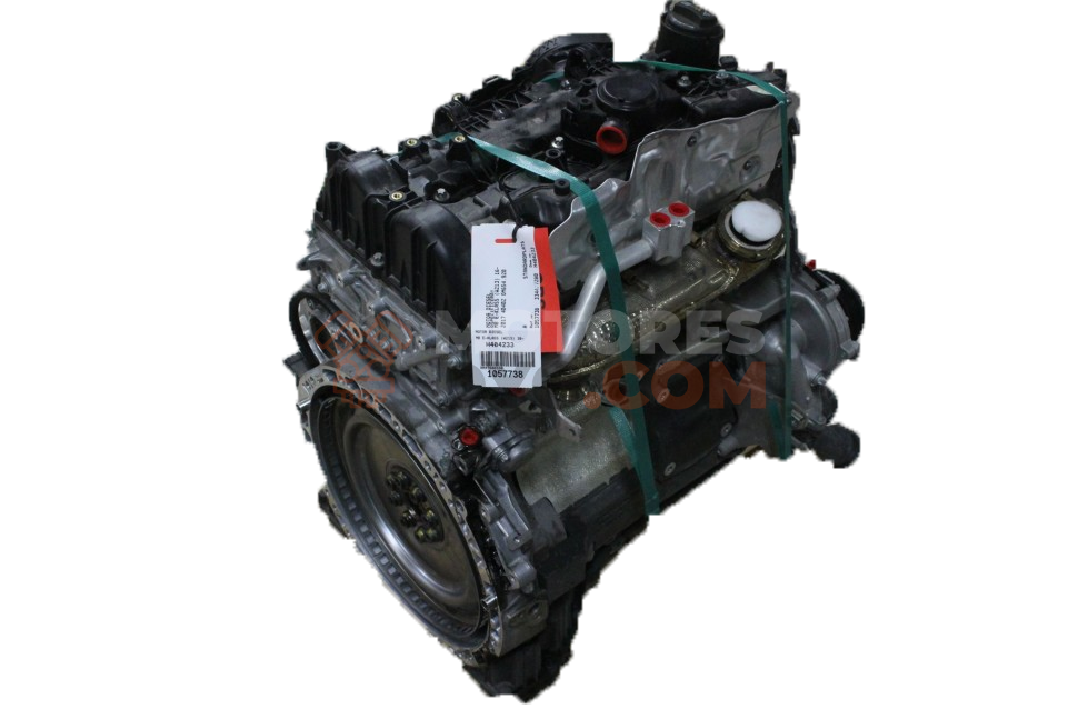 Motor OM 654.920 Mercedes Benz SPRINTER 3-t Caja/Chasis (B910, B907) 217 CDI RWD (907.221, 907.223) (170 cv)