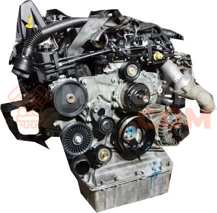 Motor OM 699.303 Mercedes Benz CLASE X (470) X 250 d (470.230) (190 cv)