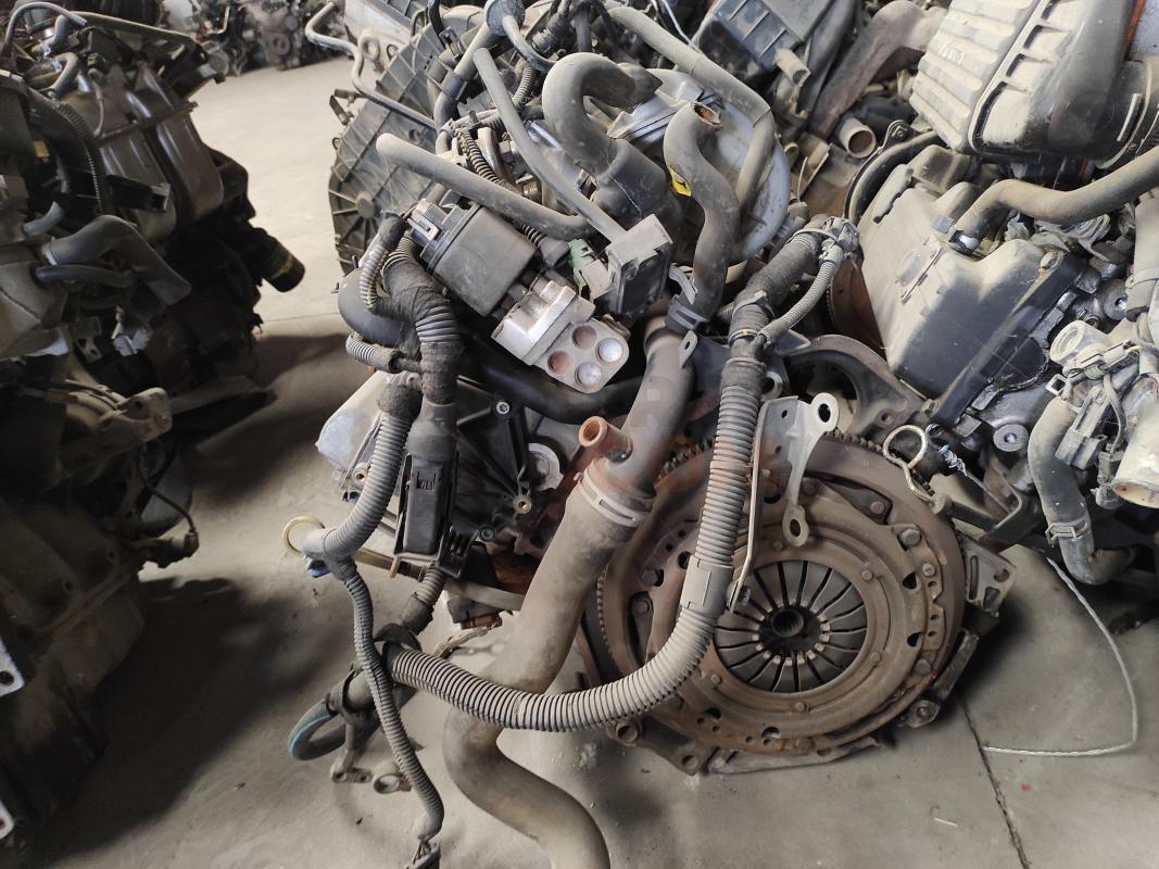 Motor X16XEL Opel Astra G 1.6 16V (101 cv)