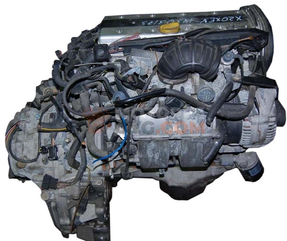 Motor X20XEV/G Opel Astra G 2.0 16V (136 cv)