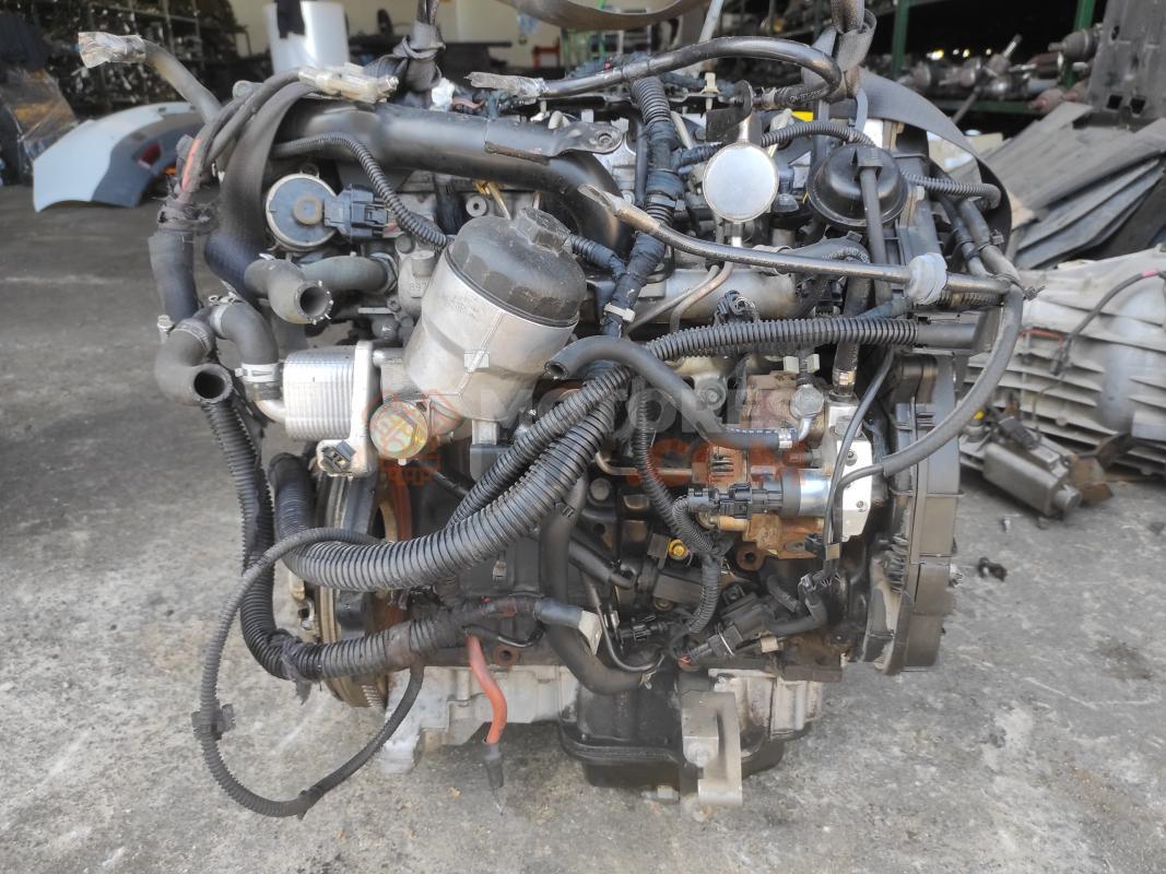 Motor Z17DTH  Opel Astra H 1.7 CDTI (100 cv)