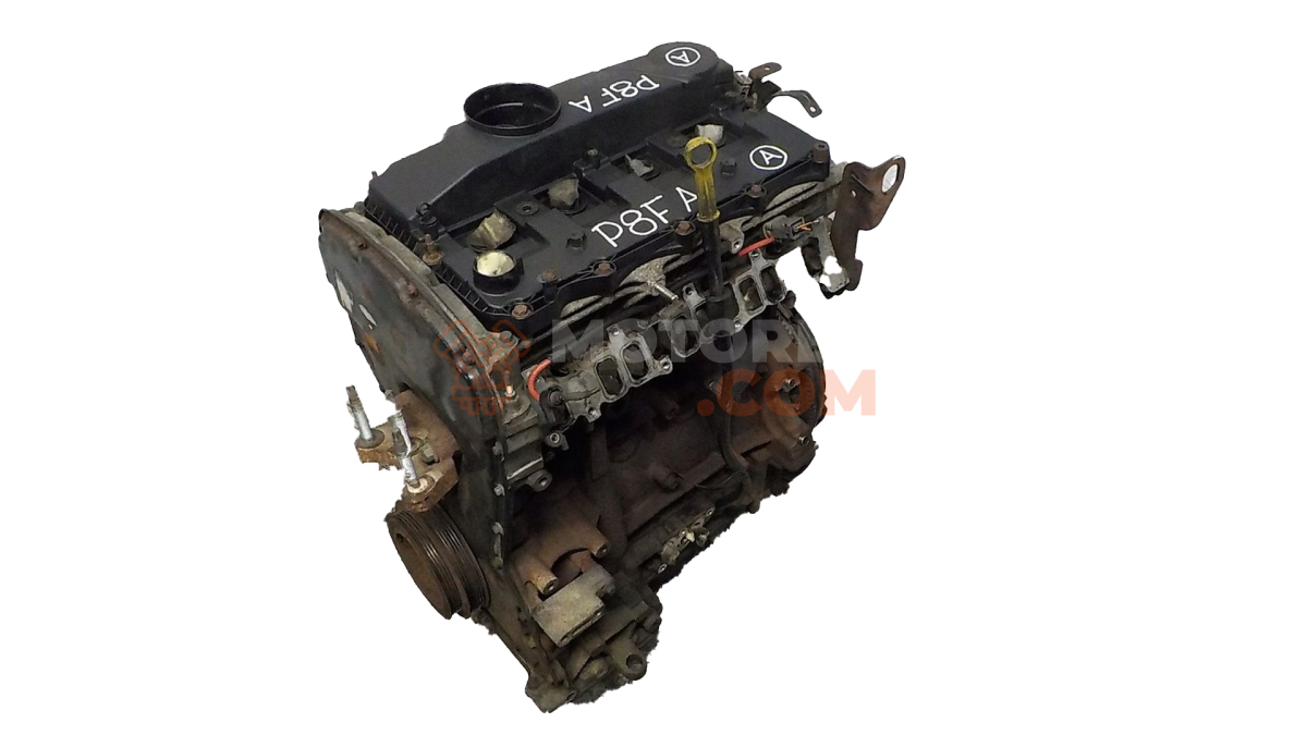 Motor P8FA Ford Transit Caja/Chasis III 2.2 TDCi (155 cv)