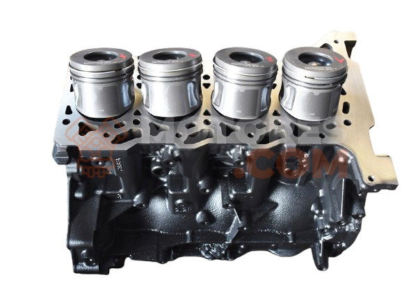 Motor P8FB Ford Transit Autobús III 2.2 TDCi 4x4 (125 cv)