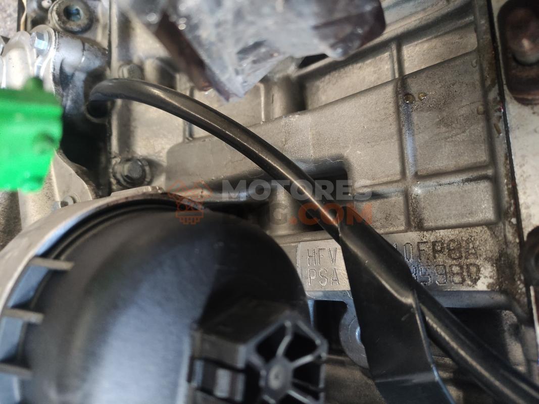 Motor HFV - HF01 Peugeot 206+ (T3E) 1.1 (60 cv)