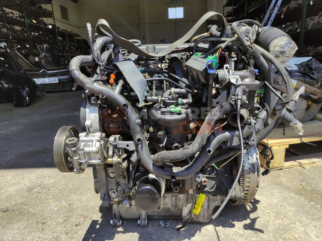 Motor RHZ Peugeot 406 (8) 2.0 HDI (110 cv)