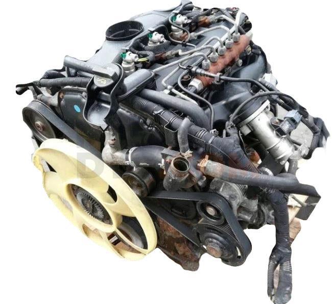 Motor PHFA Ford Transit Autobús (FD_ _, FB_ _, FS_ _, FZ_ _, FC_ _) 2.4 DI [RWD] (F_B_,F_C_,F_A) ( 120 cv)