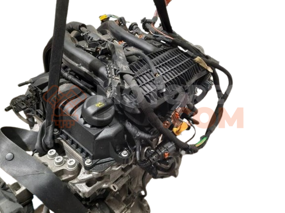 Motor PLL126587 Fiat Ducato Autobús (250_, 290_) 115 Multijet 2.0 D (116 cv)