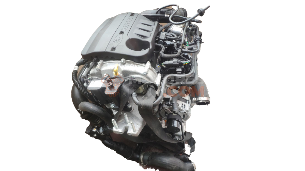 Motor Q0JB Ford FIESTA VII (HJ, HF) 1.0 EcoBoost (85 cv)