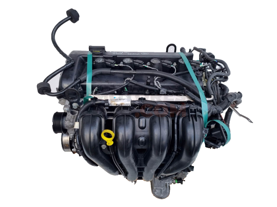 Motor Q7DA Ford Focus II Hatchback 1.8 i 16V (125 cv)