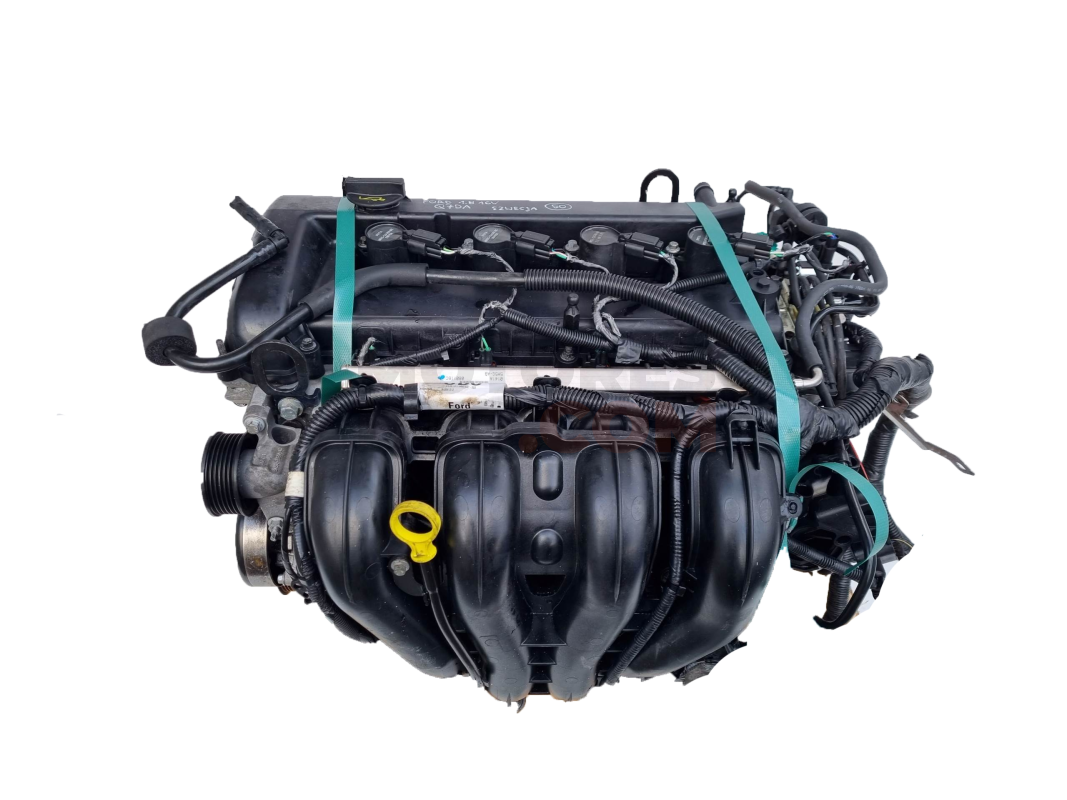 Motor Q7DA Ford C-MAX (Versión 2007) 1.8 (122 cv)