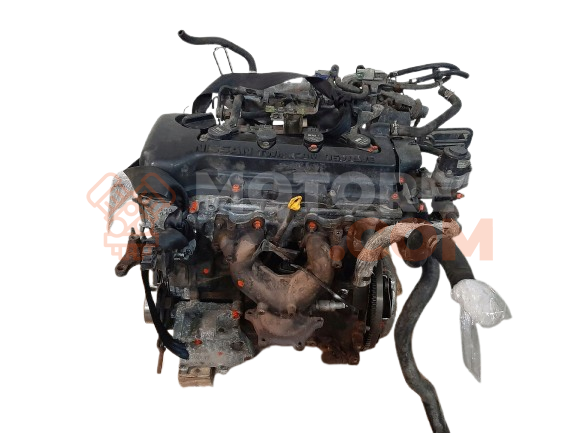 Motor QG15DE Nissan Almera II (N16) 1.5 (90 cv)