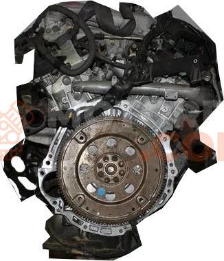 Motor QG16DE Nissan Armada (Versión 2007) 5.6 (317 cv) Automatico