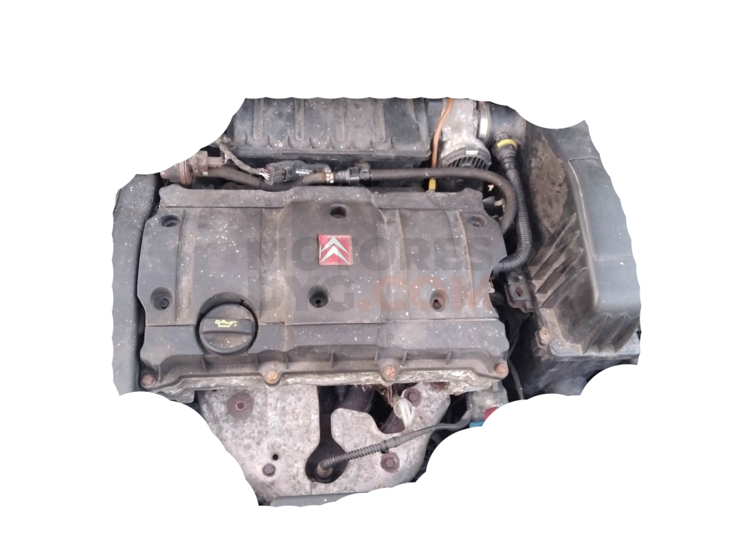 Motor QQDB Ford C-MAX II 1.6 Duratec Ti-VCT (105 cv)