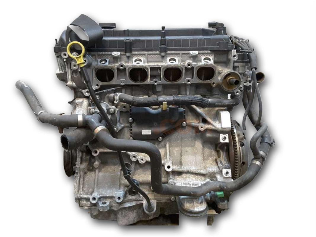 Motor QQDC Ford C-MAX (Versión 2007) 1.8 (122 cv)
