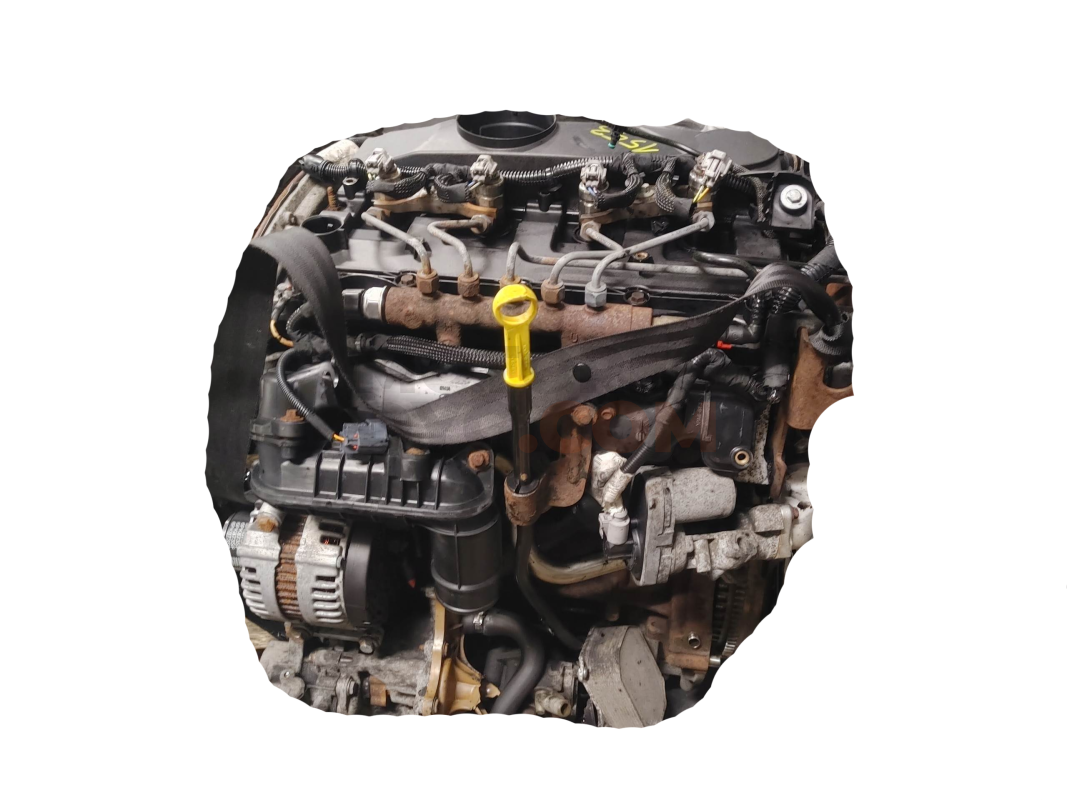Motor QVFA Ford Transit Connect 1.8 TDCI (110 cv)