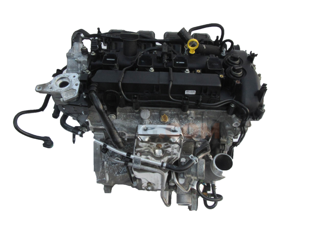 Motor R9D Ford FOCUS III 2.0 TDCi  (136 CV)