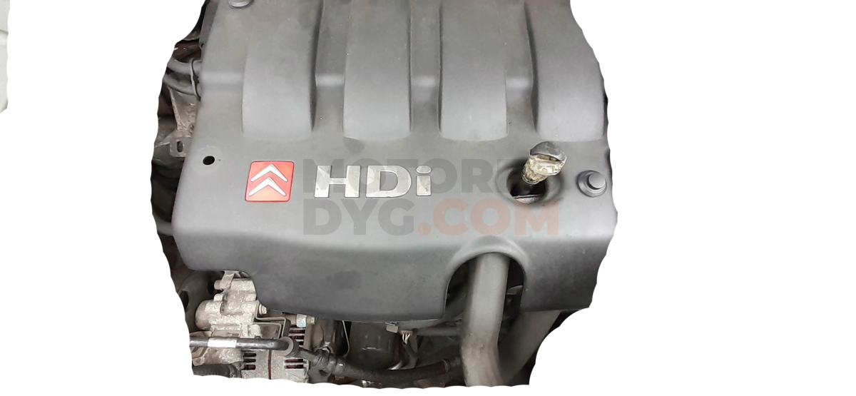 Motor RHZ Citroen C5 III (RD_) 2.0 HDi 165 (163cv)