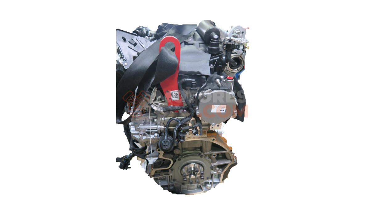 Motor RWD Ford Transit Caja/Chasis III 2.0 TDCi 4X4 (170 cv)