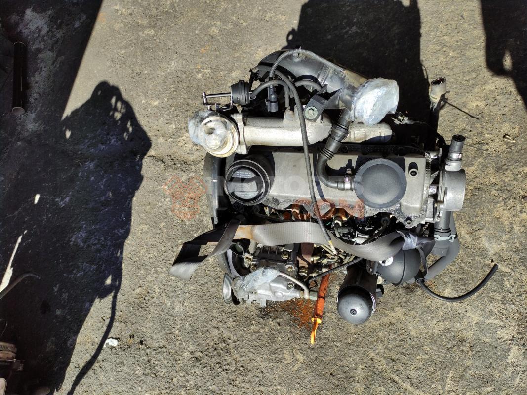 Motor ASV Seat Leon I (1M) 1.9 TDI (110 cv)