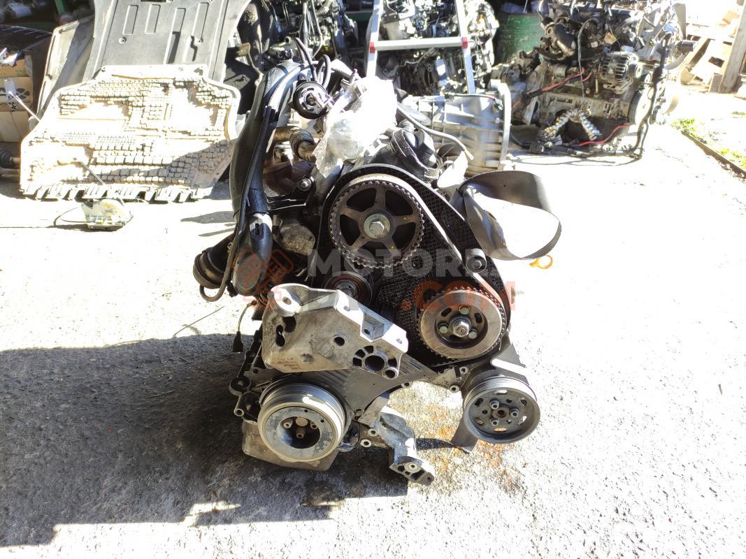 Motor ASV Seat Leon I (1M) 1.9 TDI (110 cv)
