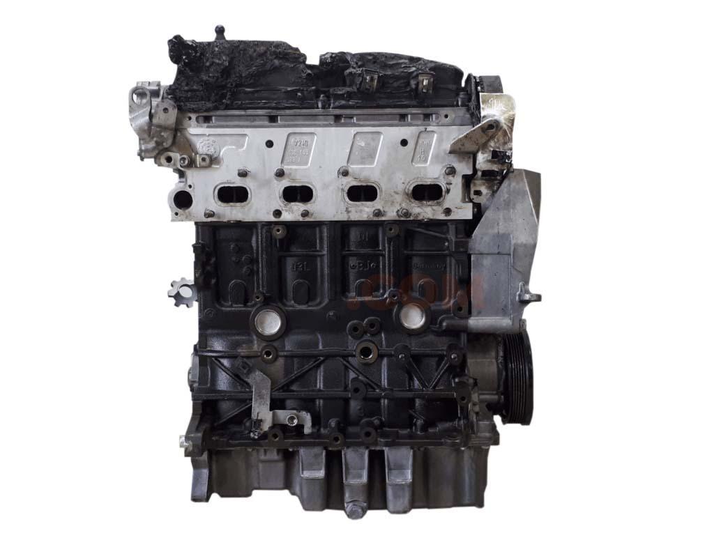 Motor CAYB Seat Leon II (1P) 1.6 TDI (90 cv)