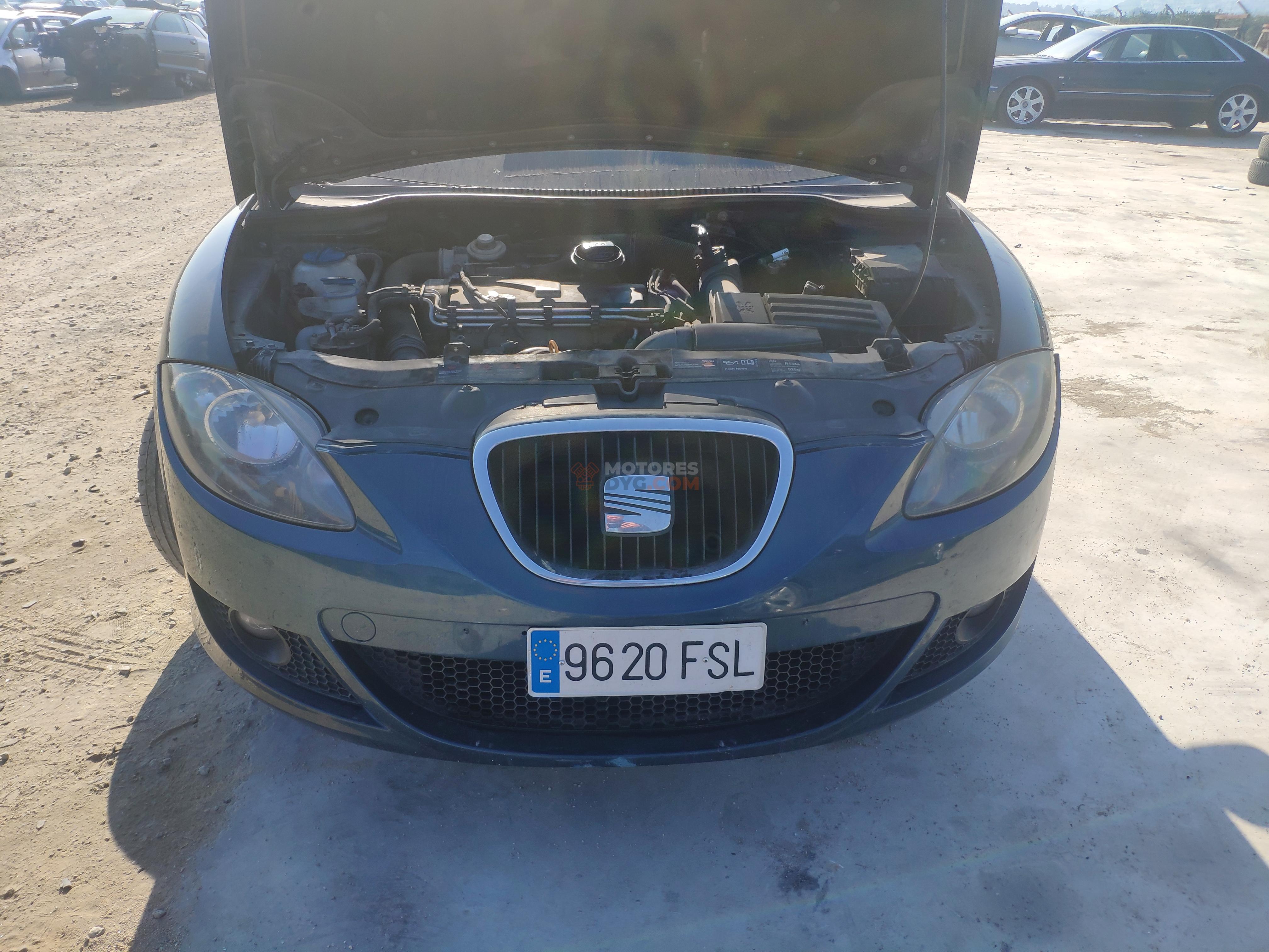 Motor DBXE Seat Leon II (1P) 1.9 TDI (105 cv)