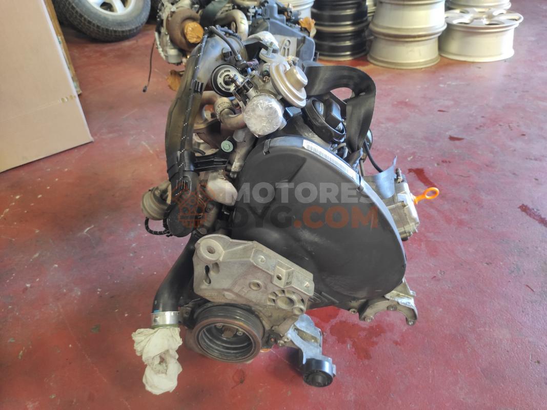 Motor ASV Seat Toledo II (1M2) 1.9 TDI (110 cv)