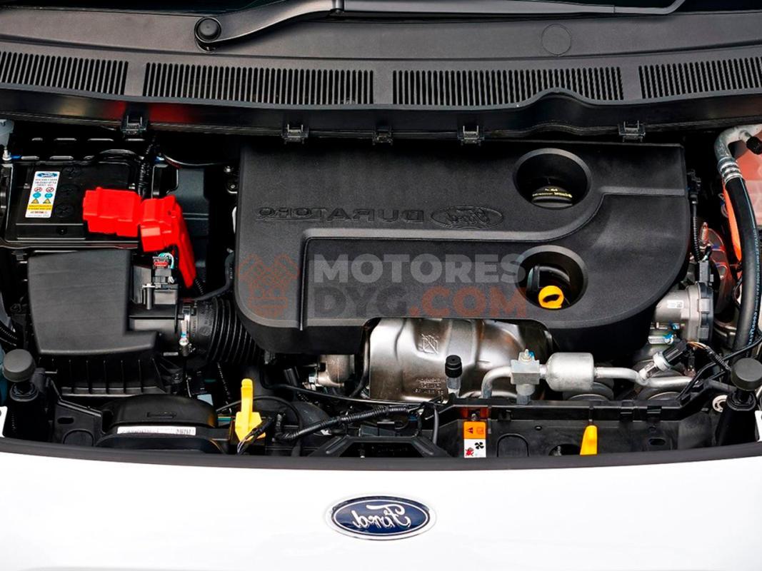 Motor SFCD Ford Tourneo Courier 1.0 EcoBoost (100 cv)
