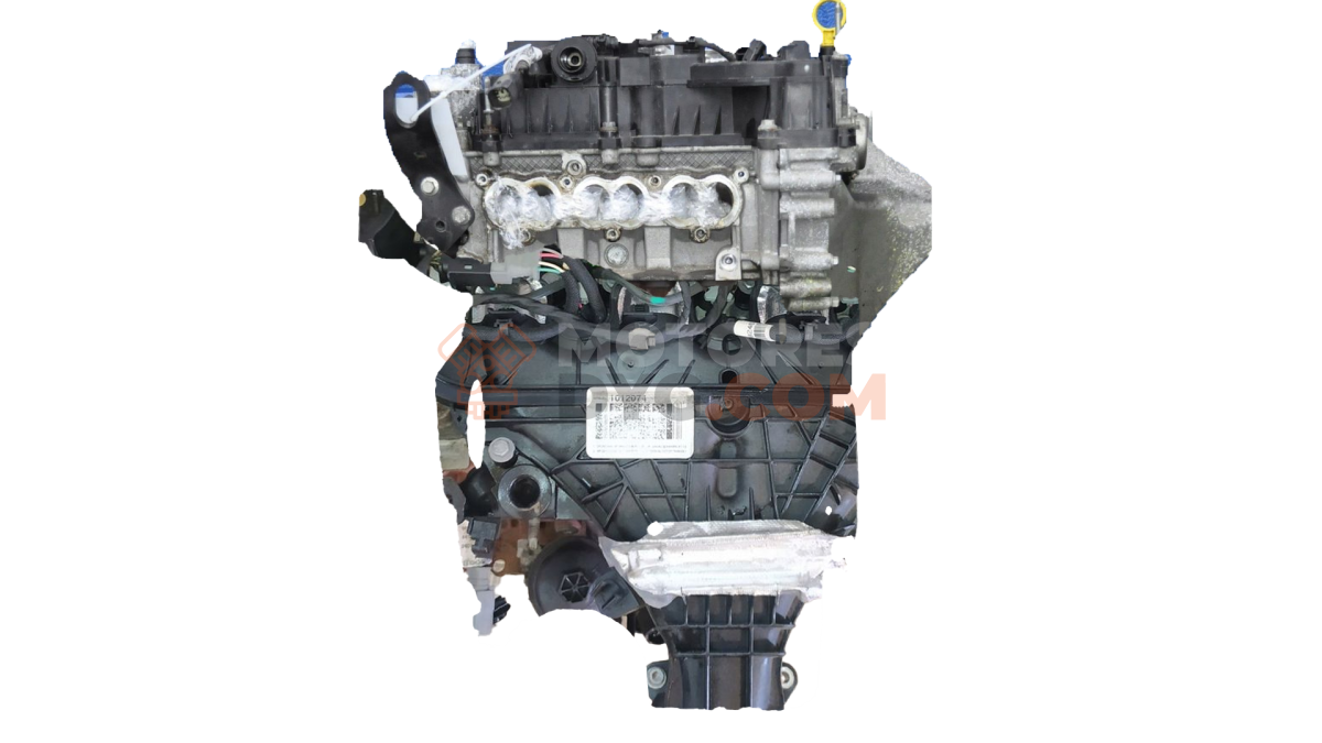 Motor SFJA Ford Fiesta VII 1.25 (60 cv) 3d