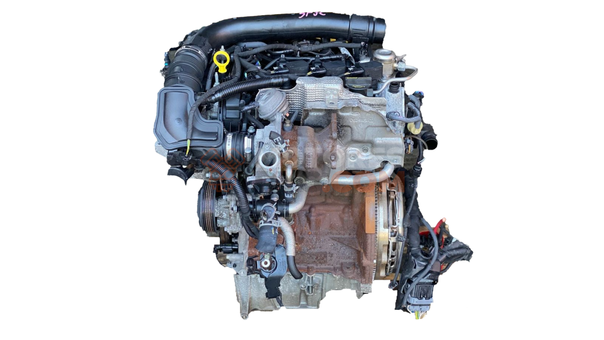 Motor SFJC Ford B-MAX 1.0 EcoBoost (100 cv)