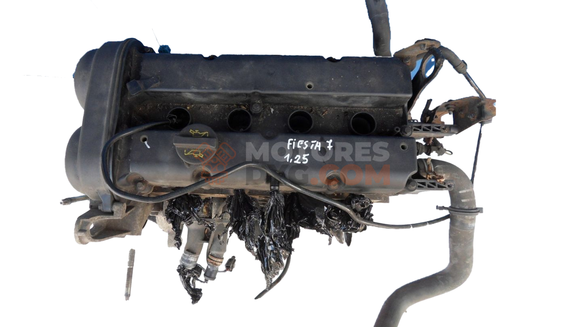 Motor SNJA Ford Fiesta VII 1.25 (82 cv) 5d