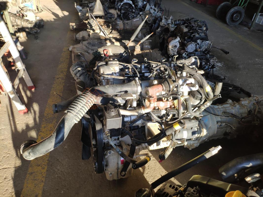 Motor D27DT Ssangyong Rexton II RX 270 Xdi MT (163 cv)