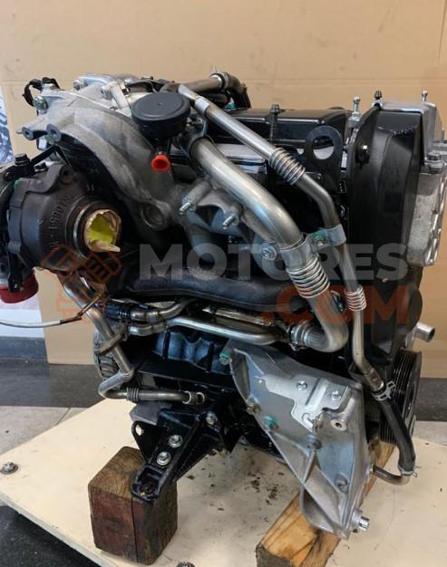 Motor f9qb264 Suzuki Grand Vitara III 1.9 DDiS (5 dr) (129 cv)