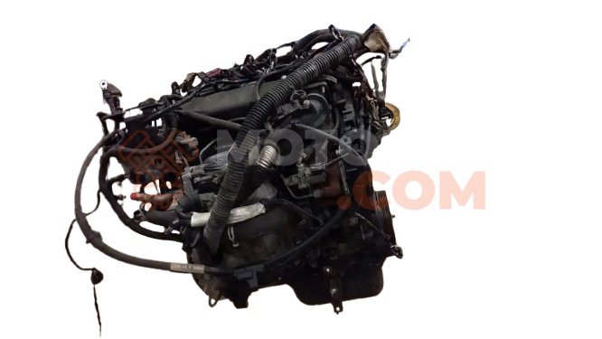Motor T1DA Ford C-MAX 1.6 TDCi (109 cv)