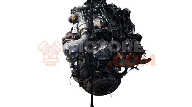 Motor T1DA Ford C-MAX 1.6 TDCi (109 cv)