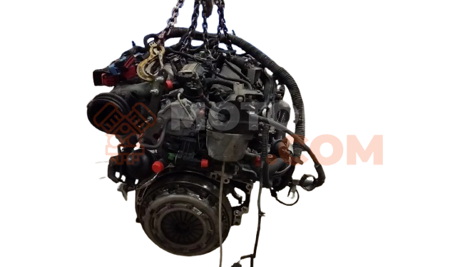 Motor T1DA Ford C-MAX 1.6 TDCi (109 cv)