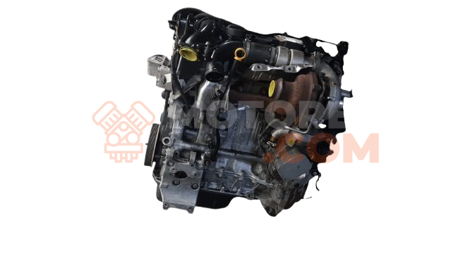 Motor T1DA Ford C-MAX 1.6 TDCi (109 cv)